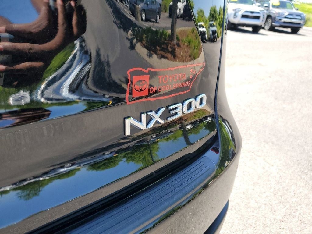 2021 Lexus NX 300 NX 300 F SPORT